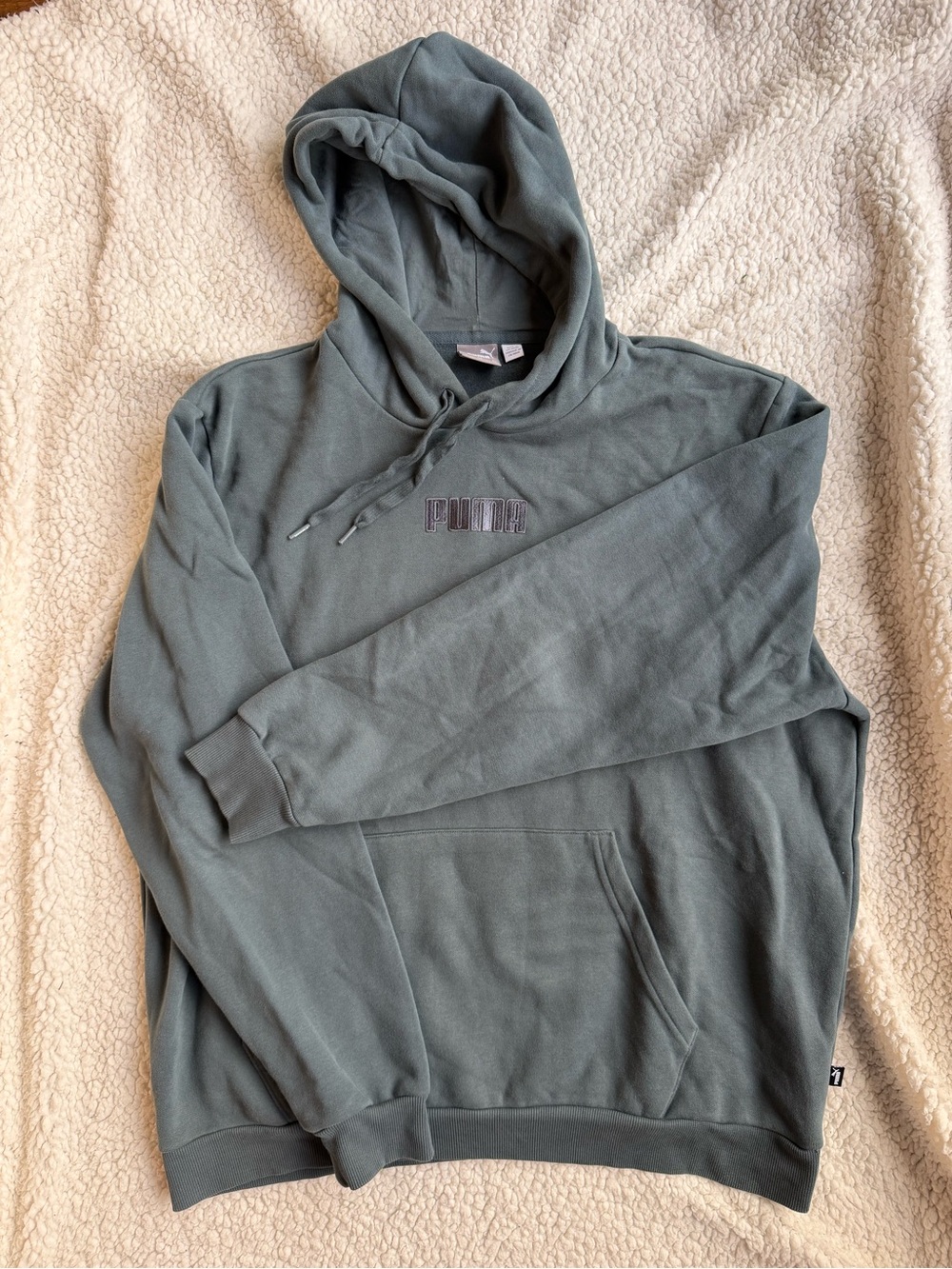 Puma Oversized Muted Sage Green Hoodie XL